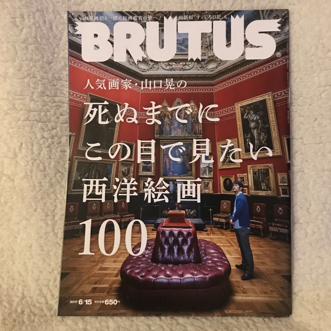 マガジンハウス(マガジンハウス)のBRUTUS (ブルータス) 2017年 6/15号　No.848 エンタメ/ホビーの雑誌(その他)の商品写真