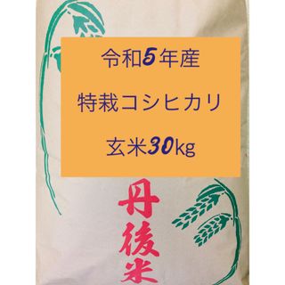 令和5年産京都府「丹後産コシヒカリ」玄米30㎏ 送料・標準精米無料サービス！(米/穀物)