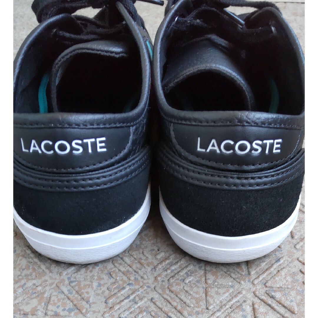 LACOSTE(ラコステ)のLACOSTE レディースレザースニーカー レディースの靴/シューズ(スニーカー)の商品写真