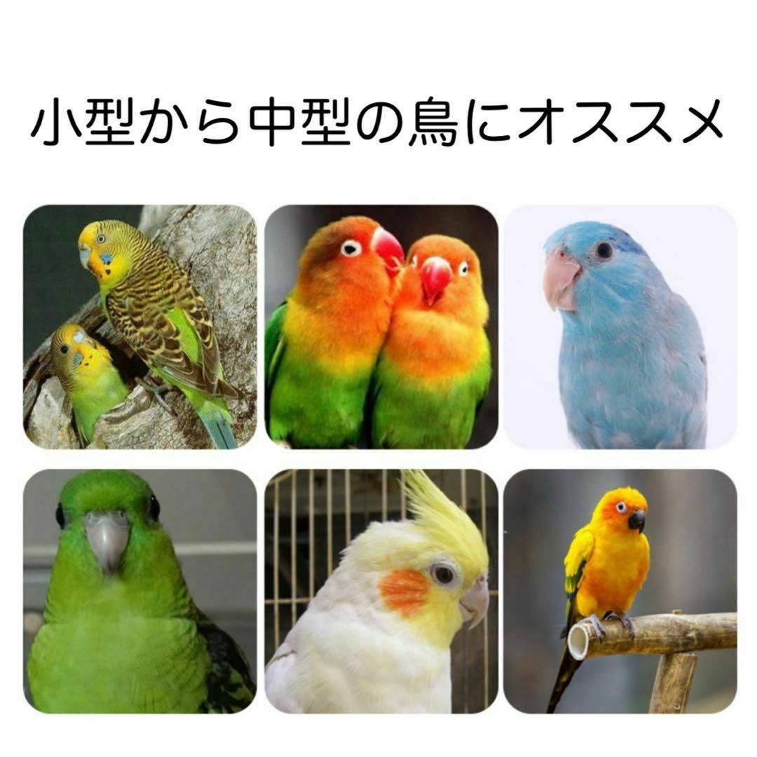 止まり木　サンドパーチ　2本　爪研ぎ　インコ　文鳥　オカメインコ　ボタンインコ その他のペット用品(鳥)の商品写真