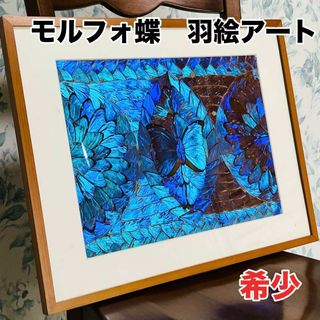 【希少】　モルフォ蝶　青い　ブルー　羽絵アート　額入り　ブラジル(アート/写真)