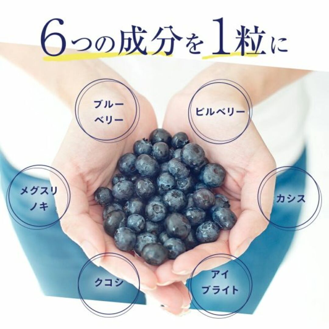 最新2026.5 ブルーベリー約3ヶ月分90粒サプリメント シードコムス 食品/飲料/酒の健康食品(その他)の商品写真