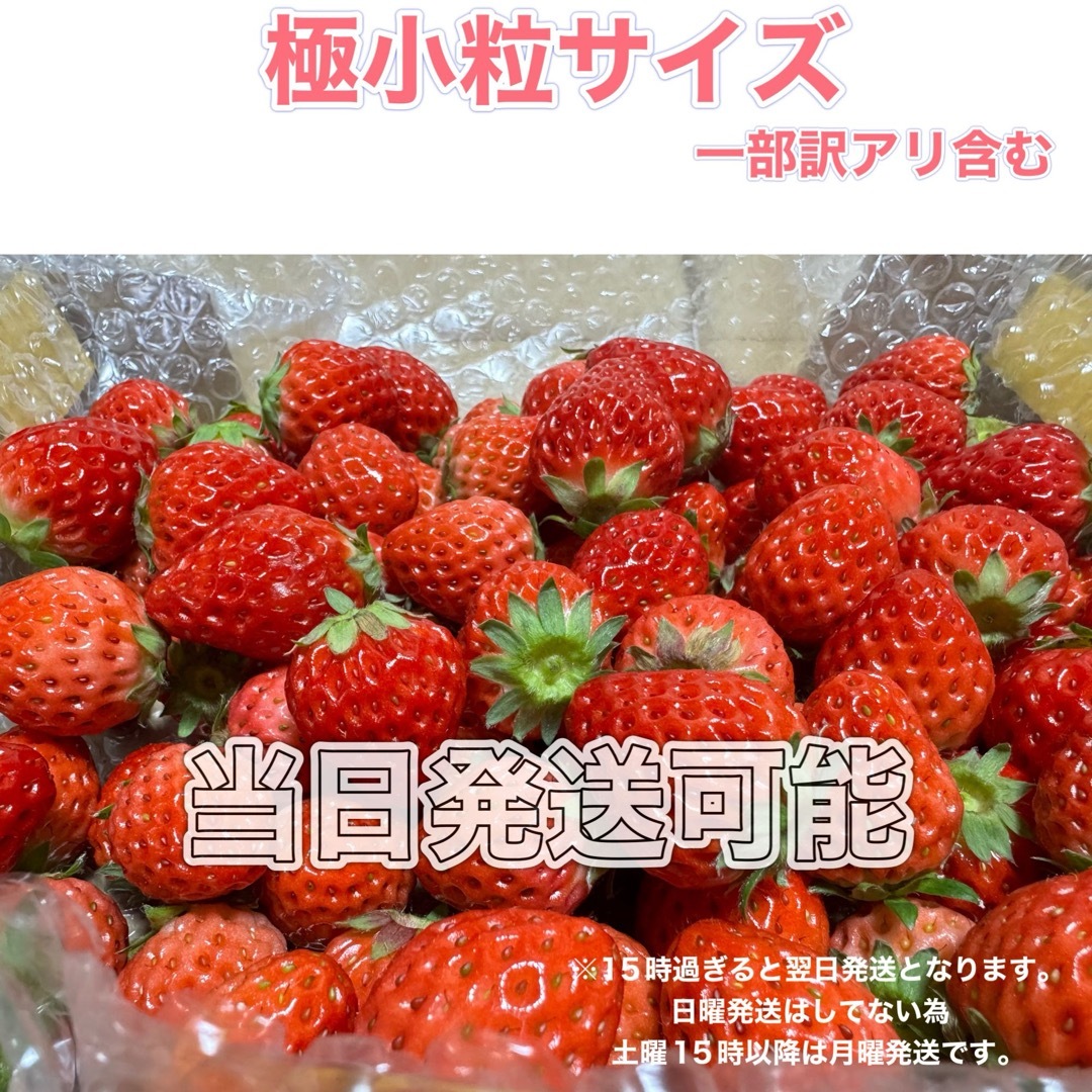 極小粒サイズ（一部訳あり含む）約750g　紅ほっぺ　いちご 🍓  ハンドメイドの素材/材料(各種パーツ)の商品写真