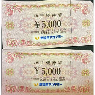 早稲田アカデミー10000円　期限24.11.30　株主優待券　匿名発送(その他)