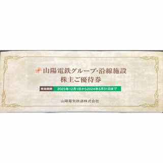 山陽電鉄　１冊　期限24.5.31 株主優待券　(その他)