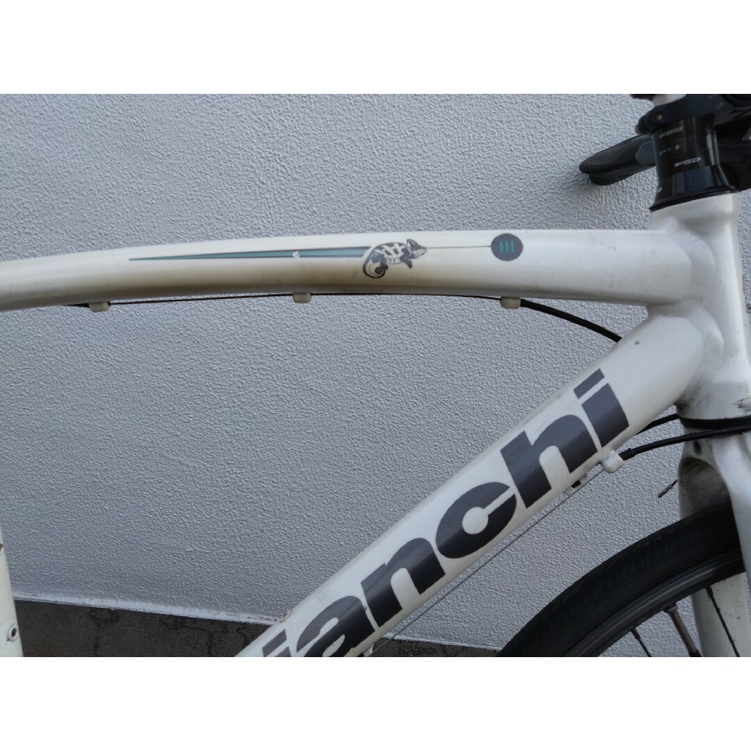 Bianchi(ビアンキ)のビアンキ カメレオンテ3  クロスバイク 48サイズ 引取限定 スポーツ/アウトドアの自転車(自転車本体)の商品写真