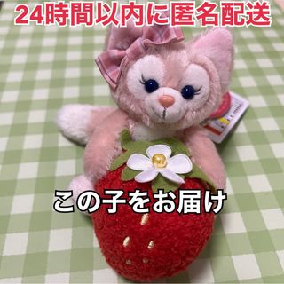 ステラ・ルー - 【完売品】ハートフェルトストロベリーギフト♡ぬい