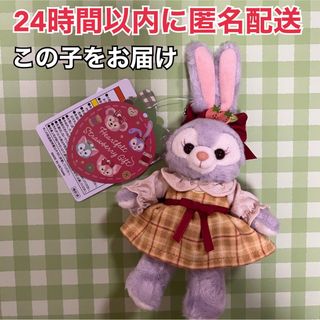 ステラルー(ステラ・ルー)の【完売品】ハートフェルトストロベリーギフト♡ぬいぐるみバッジ♡ステラルー(キャラクターグッズ)