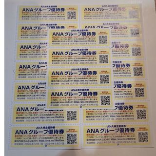 エーエヌエー(ゼンニッポンクウユ)(ANA(全日本空輸))のANAグループ優待券♥18枚(専門誌)