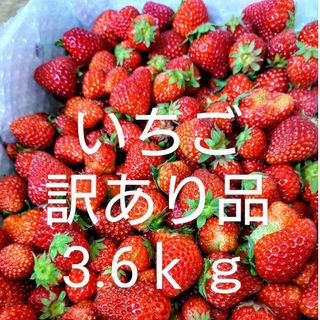 いちご　加工用　訳あり　3.6ｋｇ(フルーツ)