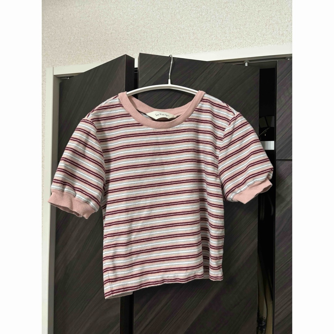 SeaRoomlynn(シールームリン)のPILEボーダーCHIBI Tシャツ　ピンク　FREE レディースのトップス(Tシャツ(半袖/袖なし))の商品写真