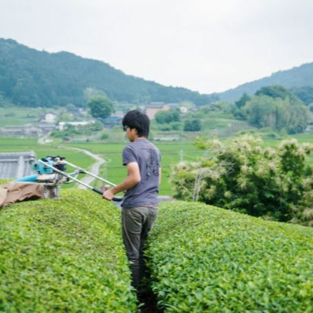 自然栽培 煎茶(70g)＆玄米茶(60g)★ 食品/飲料/酒の飲料(茶)の商品写真