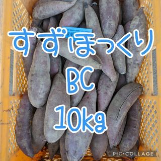 すずほっくりBC10kg(野菜)