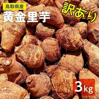 【訳あり】黄金里芋 大和芋 宅急便 3kg さといも サトイモ 山芋(野菜)