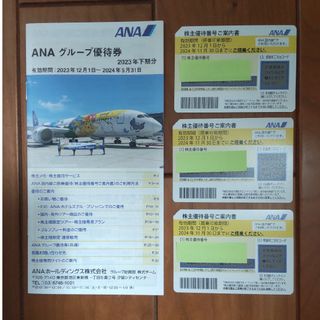 エーエヌエー(ゼンニッポンクウユ)(ANA(全日本空輸))のANA　株主優待券　3枚セット(その他)