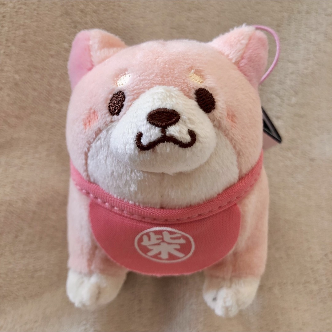 新品　忠犬もちしば スクっとポーズ マスコット　さくら　ぬいぐるみ  しばいぬ キッズ/ベビー/マタニティのおもちゃ(ぬいぐるみ/人形)の商品写真