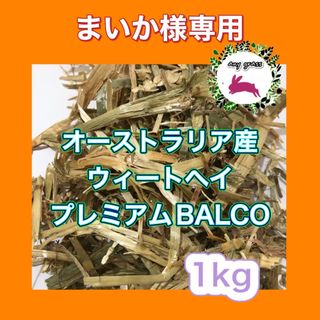 ★まいか様専用★オーストラリア産ウィートヘイプレミアムBALCO  1kg(ペットフード)