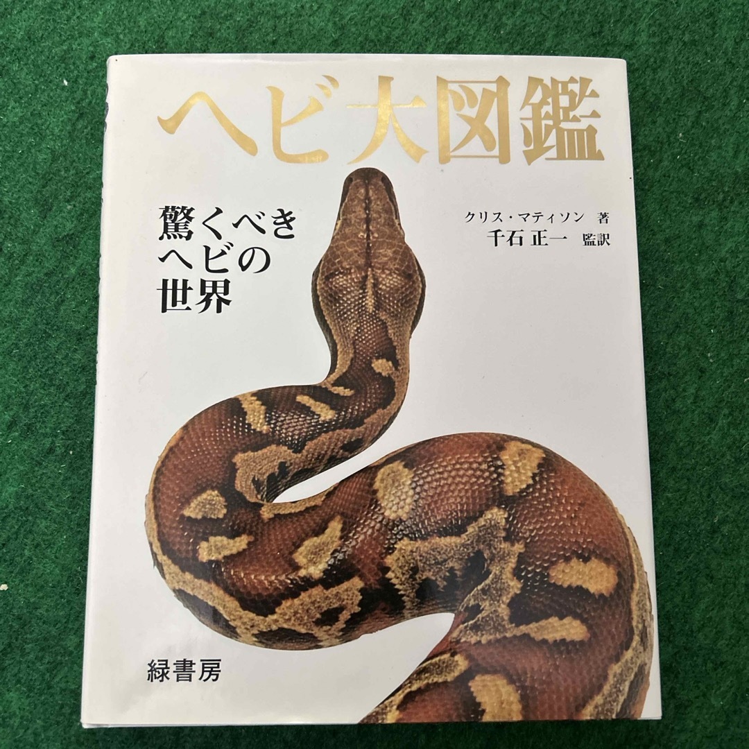 ヘビ大図鑑 エンタメ/ホビーの本(その他)の商品写真