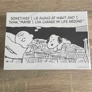 スヌーピー(SNOOPY)のスヌーピー　壁掛け絵画　アートパネル(キャラクターグッズ)