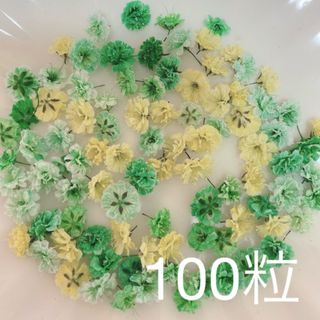 グリーン系 かすみ草ドライフラワー100粒(ドライフラワー)