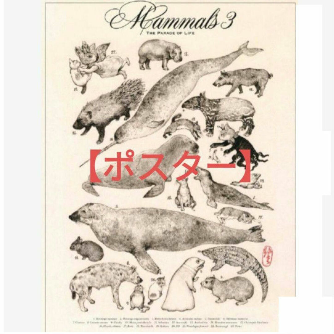 ヒグチユウコ(ヒグチユウコ)のヒグチユウコさん　ポスター　国立科学博物館　哺乳類展３ エンタメ/ホビーのアニメグッズ(ポスター)の商品写真
