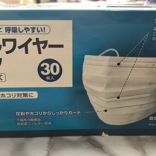 ダブルワイヤーマスク(日用品/生活雑貨)