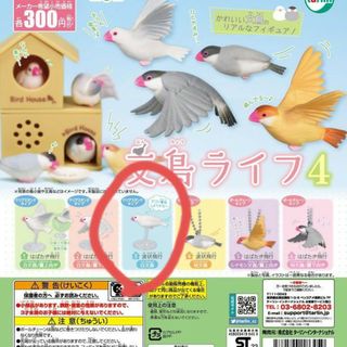 ガチャ 文鳥ライフ 白文鳥 波状飛行 ①(その他)