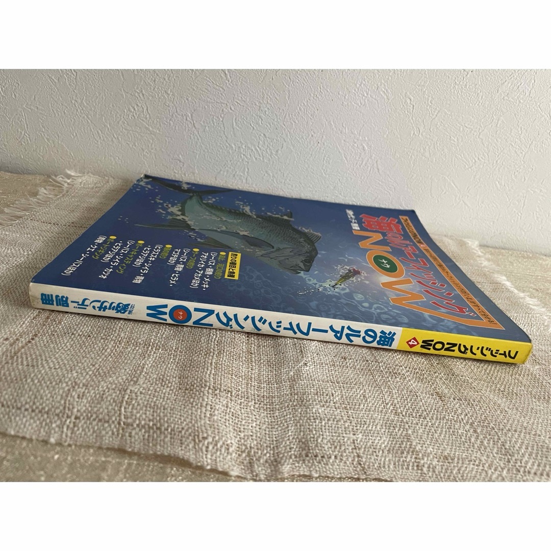 釣りサンデー別冊・海のルアーフィッシングNOW4 エンタメ/ホビーの本(趣味/スポーツ/実用)の商品写真