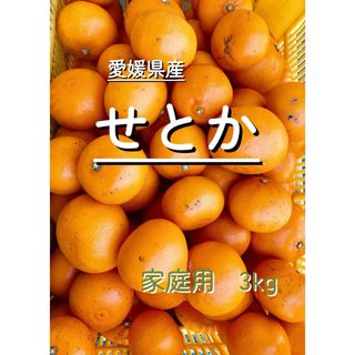 愛媛県産　　せとか　家庭用3kg(フルーツ)