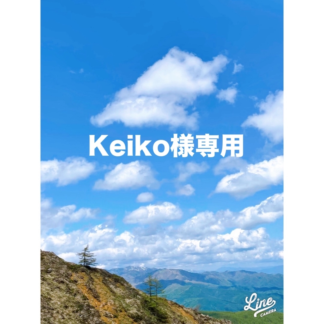 Keiko様専用 その他のその他(その他)の商品写真