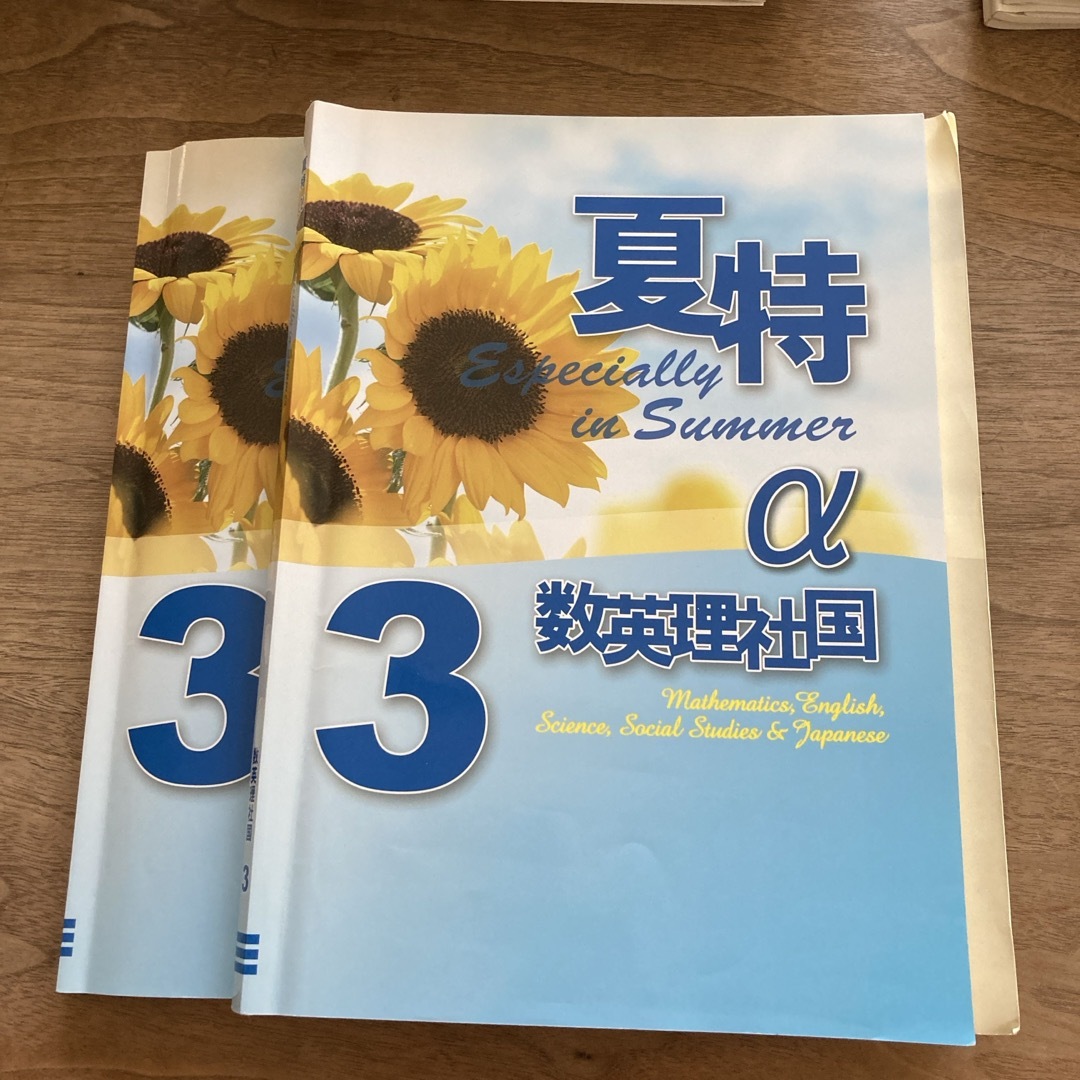 夏特α  Specially in Summer 2冊 エンタメ/ホビーの本(語学/参考書)の商品写真