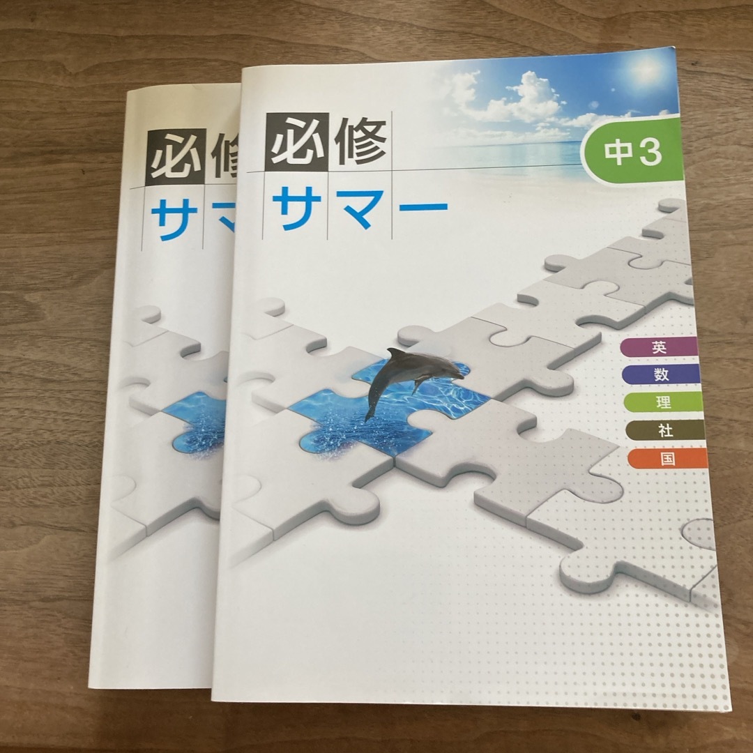 必修サマー　2冊 エンタメ/ホビーの本(語学/参考書)の商品写真