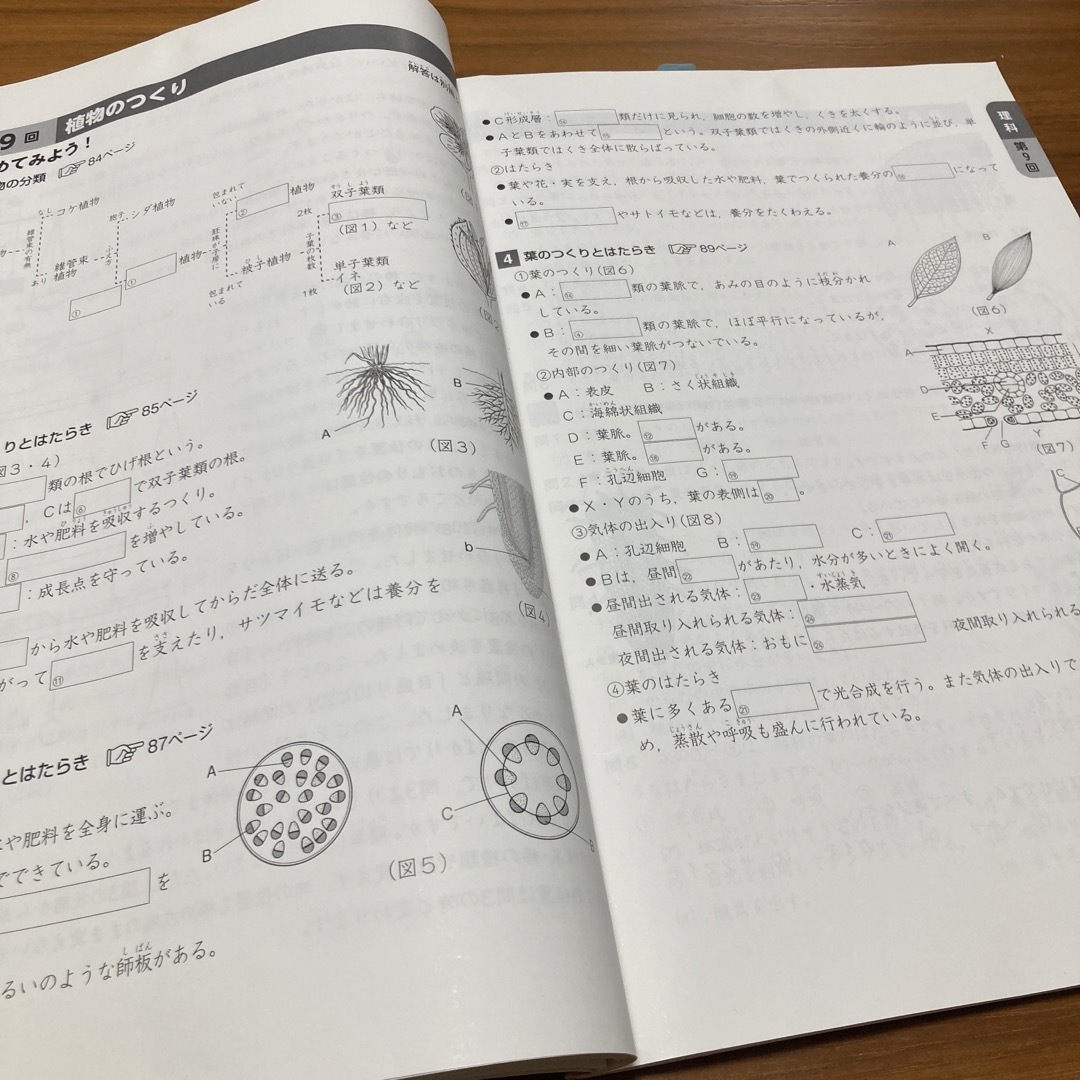 予習シリーズ　演習問題集　理科上 エンタメ/ホビーの本(語学/参考書)の商品写真