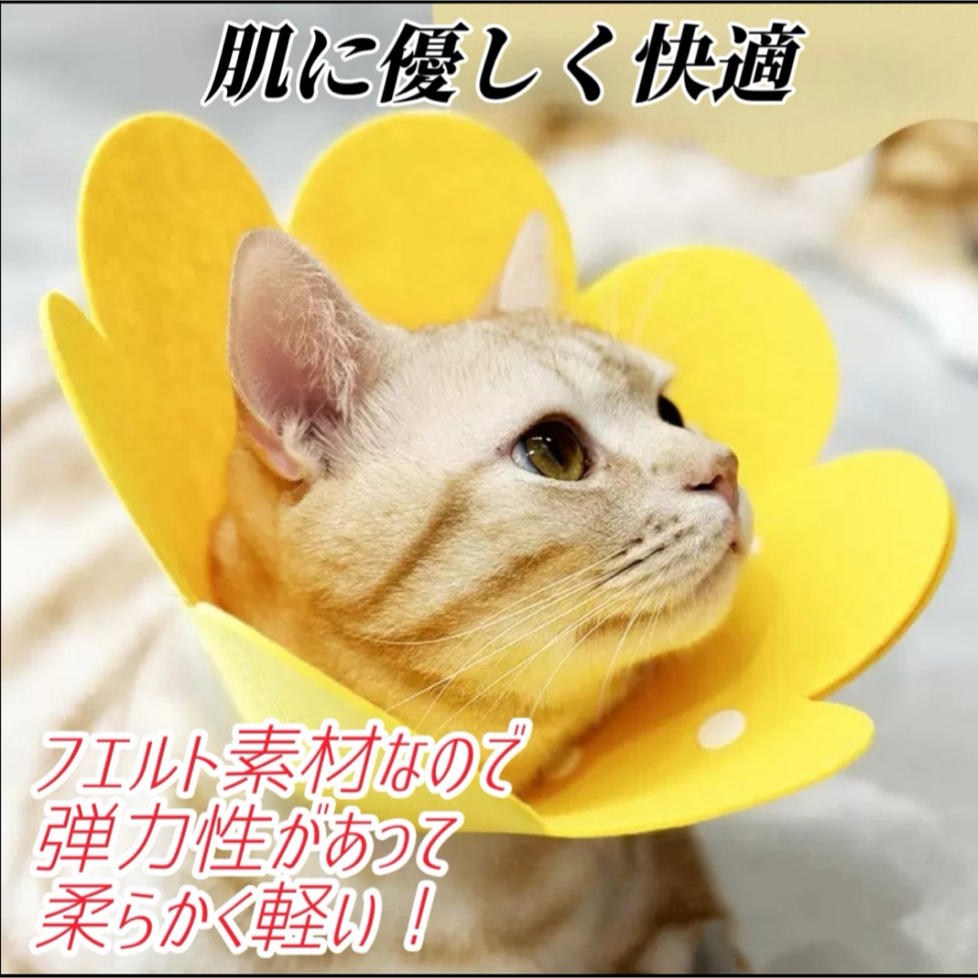 エリザベスカラー M 2枚 猫 犬 ペット用品 傷口保護 舐め防止 その他のペット用品(猫)の商品写真