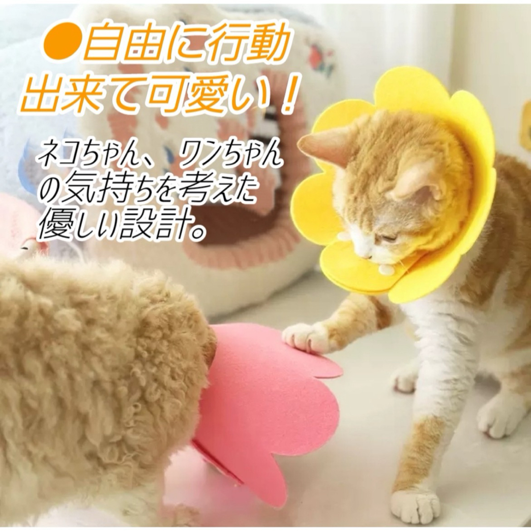 エリザベスカラー M 2枚 猫 犬 ペット用品 傷口保護 舐め防止 その他のペット用品(猫)の商品写真