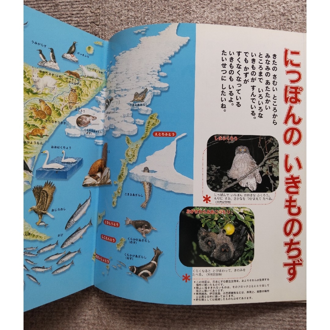 学研(ガッケン)のスーパーワイドずかん いきもの・くらし エンタメ/ホビーの本(絵本/児童書)の商品写真