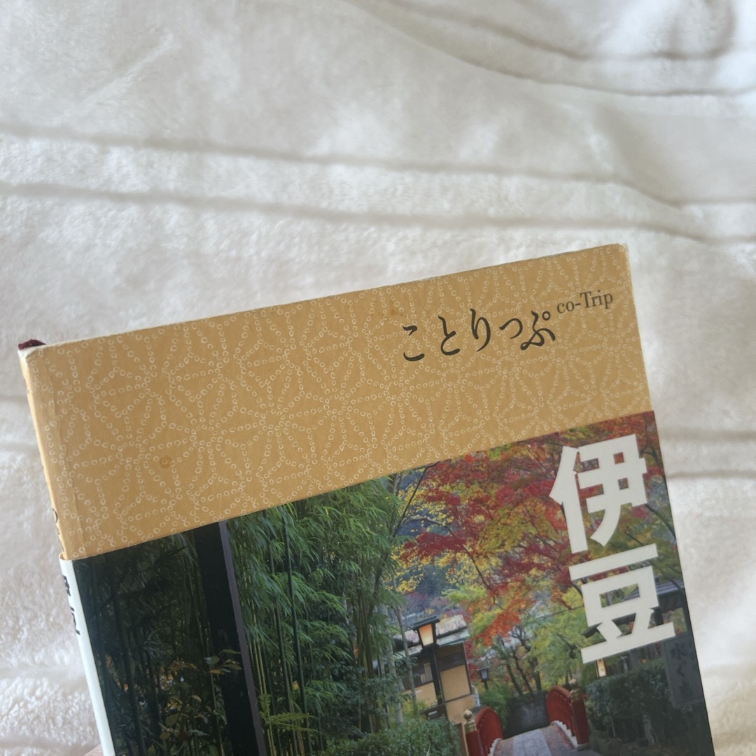 旺文社(オウブンシャ)のことりっぷ伊豆 エンタメ/ホビーの本(その他)の商品写真