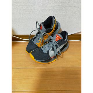 ナイキ(NIKE)のNIKE ナイキ ZOOM FREAK 2 ズーム フリーク 23.5cm(バスケットボール)