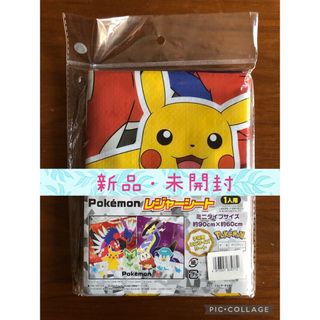 ポケモン(ポケモン)のスケーター ポケットモンスター レジャーシート(その他)