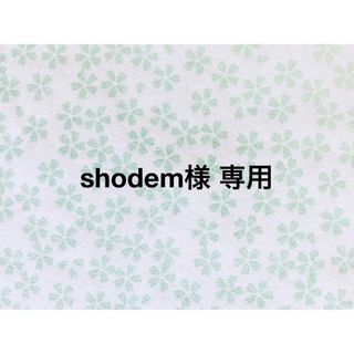 【shodem様 専用】給食セット＊2(外出用品)