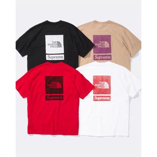 シュプリーム(Supreme)のSupreme The North Face S/S Top(Tシャツ/カットソー(半袖/袖なし))