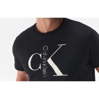 Calvin Klein - 新品　Calvin Klein カルバン クライン メンズ　ビッグロゴ　Tシャツ