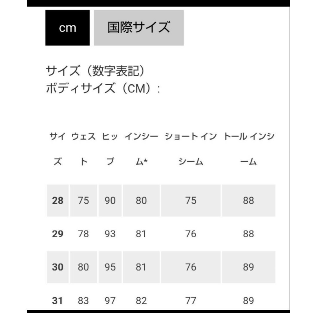 ARC'TERYX(アークテリクス)のアークテリクスガンマクイックドライパンツ１１インチ ショートパンツ　サイズ２８ メンズのパンツ(ショートパンツ)の商品写真