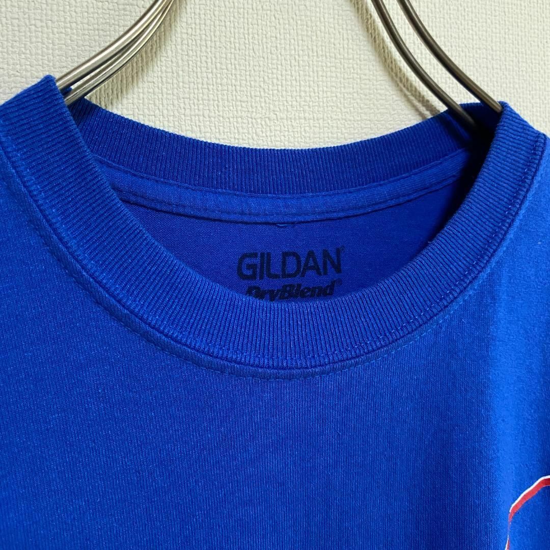 GILDAN(ギルタン)のアメリカ古着　インディアン　半袖　Tシャツ　ギルダン　ヴィンテージ　P184 メンズのトップス(Tシャツ/カットソー(半袖/袖なし))の商品写真