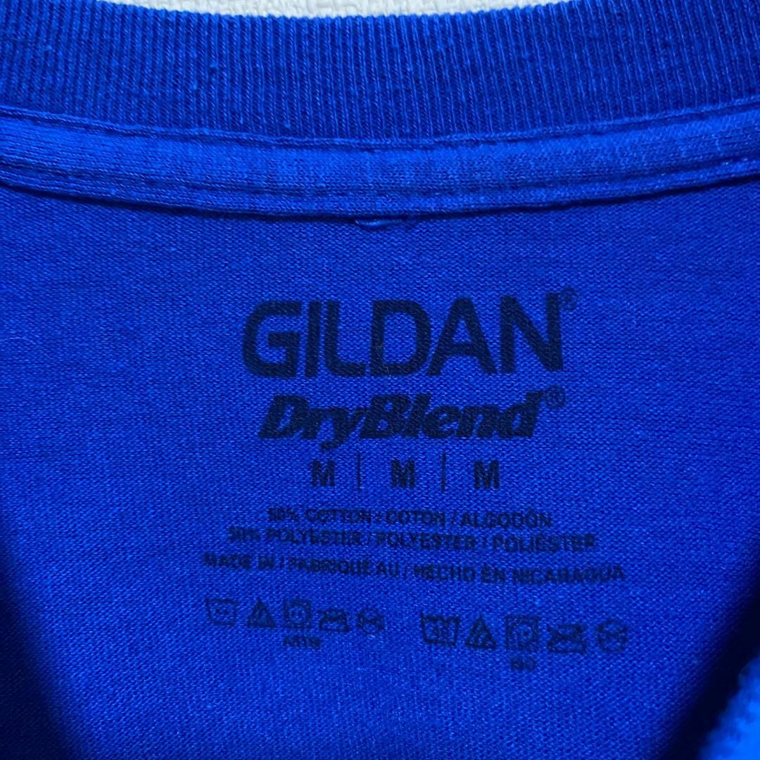 GILDAN(ギルタン)のアメリカ古着　インディアン　半袖　Tシャツ　ギルダン　ヴィンテージ　P184 メンズのトップス(Tシャツ/カットソー(半袖/袖なし))の商品写真