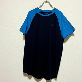 ホリスター(Hollister)のアメリカ古着　ホリスター　ラグランTシャツ　半袖　Tシャツ　刺繍　P235(Tシャツ/カットソー(半袖/袖なし))