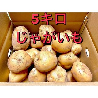 じゃがいも 5キロ　5kg 長崎県島原半島産　西豊　ニシユタカ　産地直送(野菜)