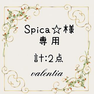 🌟Spica様専用ページ🌟 計2点(雑貨)