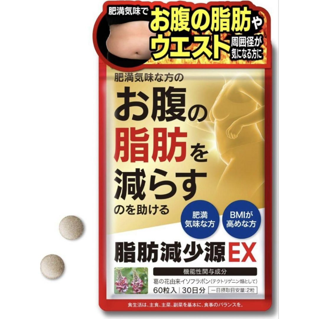 脂肪減少源EX60粒入り30日分　機能性表示食品　イソフラボン配合　日本製 コスメ/美容のダイエット(ダイエット食品)の商品写真