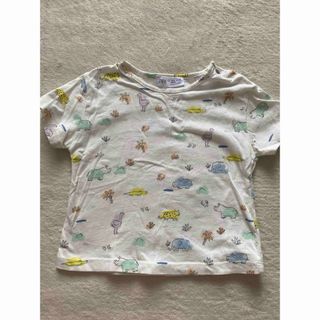 ザラキッズ(ZARA KIDS)のZARA Tシャツ 6-9month 74cm(Ｔシャツ)